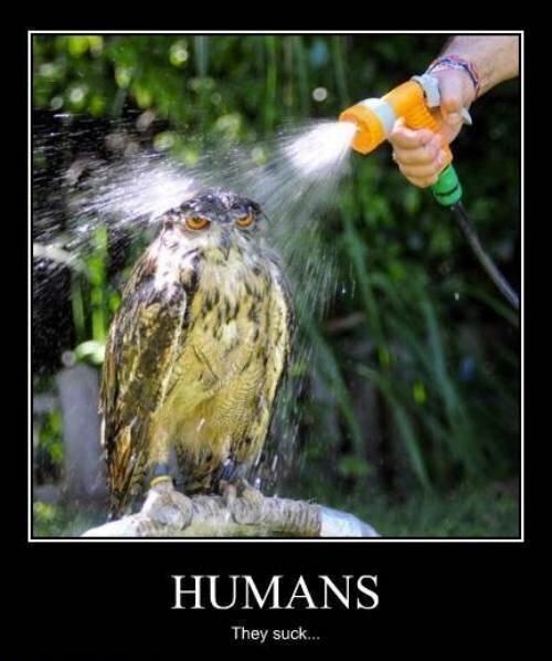 Strakke Vriendschap set