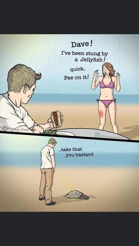 Frisse Doe-het-zelf en Verbouw