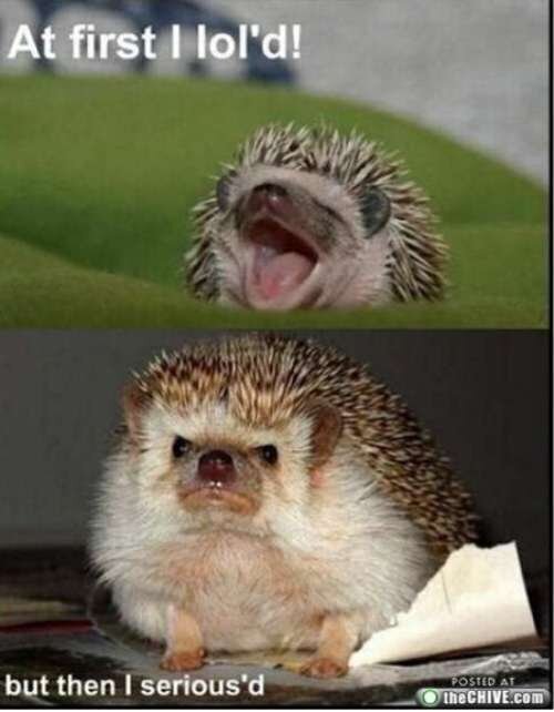 Strakke Contacten en Berichten