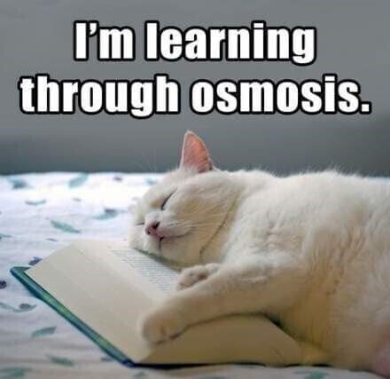 Frisse Keukenapparaten collectie