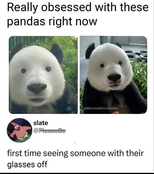 Frisse Camera's collectie