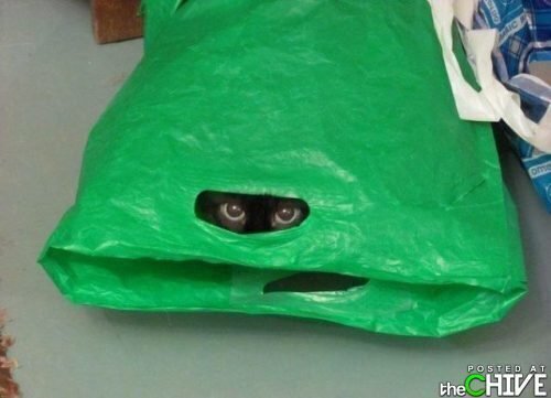 Betrouwbare Zakelijke goederen