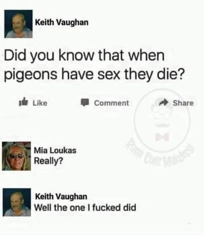 Frisse Muziek collectie