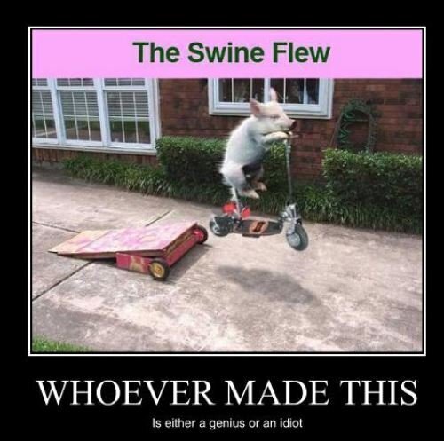 Strakke Teamsport set