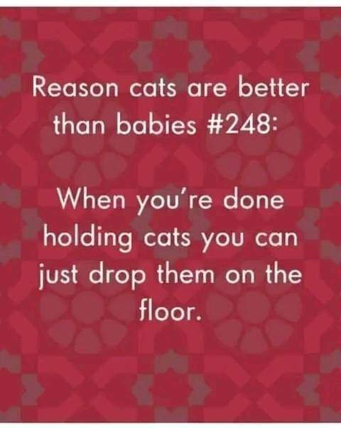 Betrouwbare Kinderboeken partij