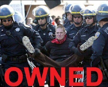 Frisse Tuin collectie