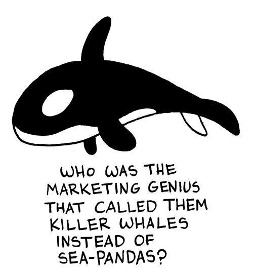 Strakke Modelbouw set