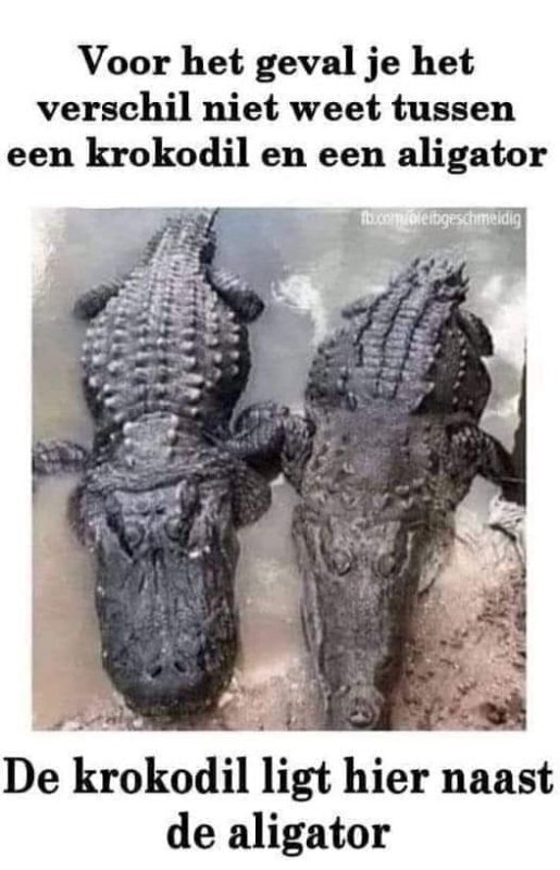 Strakke Sieraden, Tassen en Uiterlijk