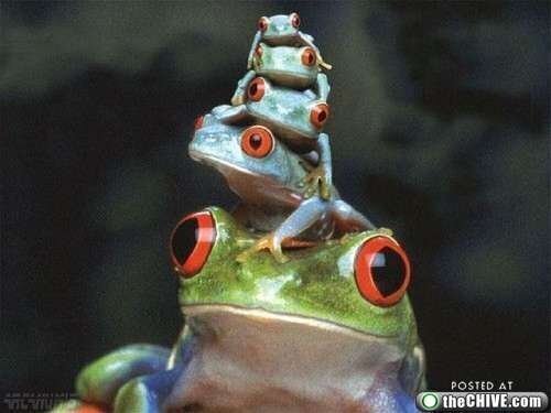 Betrouwbare Algemeen partij