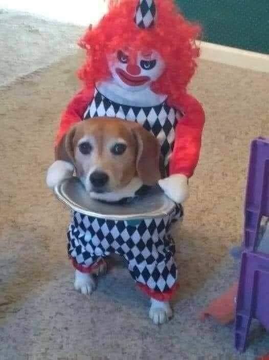 Strakke Spelcomputers en Games