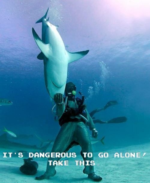 Betrouwbare Vakantie