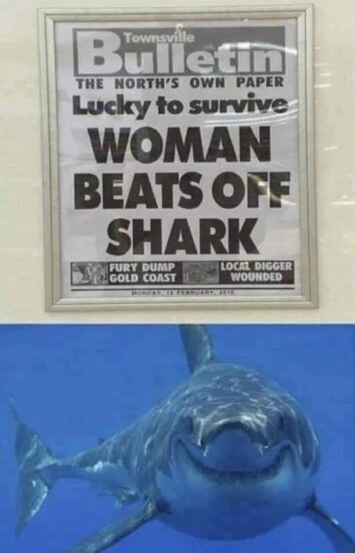 Betrouwbare Planten partij