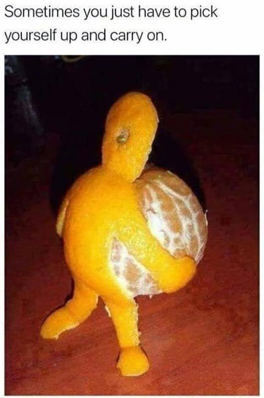 Betrouwbare Huis & Tuin