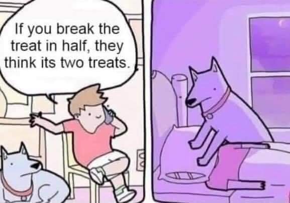 Betrouwbare Fotografie partij