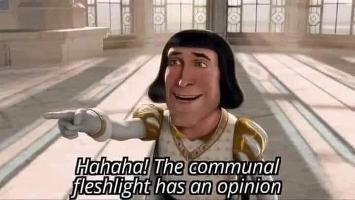 Betrouwbare Dakdragers partij