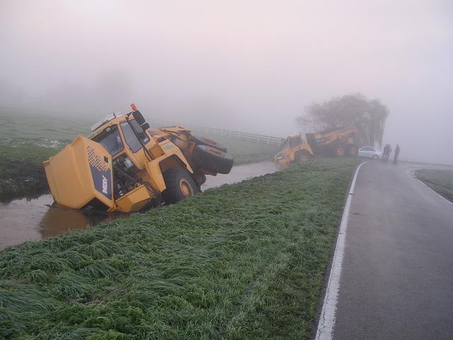 Betrouwbare Katten partij