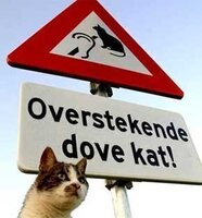 Betrouwbare Fietsen en Brommers