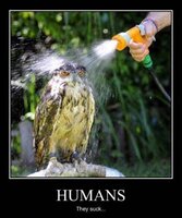 Betrouwbare Audio, Tv en Foto