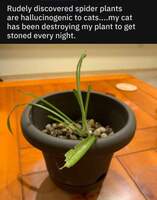 Frisse Postzegels en Munten