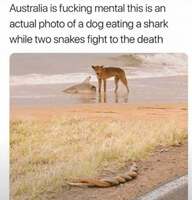 Strakke Buitenland set