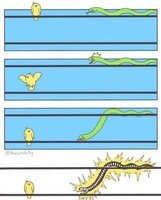 Betrouwbare Kinderen en Baby's