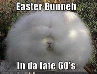 Frisse Beelden collectie