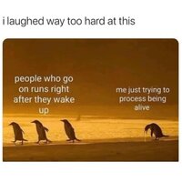 Betrouwbare Verzamelen