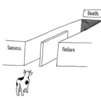 Betrouwbare Postzegels en Munten