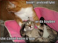 Frisse Vriendschap collectie