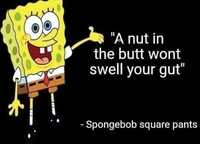 Strakke Huizen en Kamers