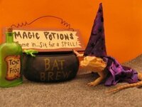 Frisse Laptops collectie