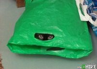 Betrouwbare Zakelijke goederen