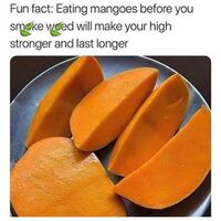 Betrouwbare Gereedschap partij