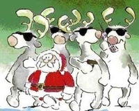 Betrouwbare Collecties partij