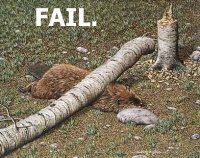 Betrouwbare Muziek partij