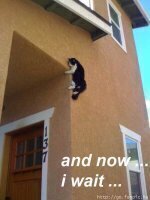 Betrouwbare Vriendschap partij