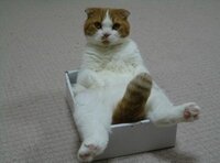 Betrouwbare Computers en Software