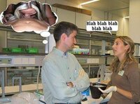 Frisse Honden collectie