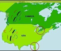 Betrouwbare Beelden partij