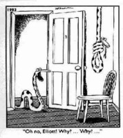 Strakke Contacten en Berichten