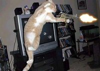 Betrouwbare Diversen