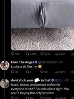 Betrouwbare Freelance partij