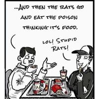 Frisse Design collectie