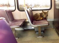 Betrouwbare Tickets en Kaartjes