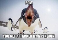 Betrouwbare Shirts partij