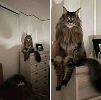 Strakke Kamperen set