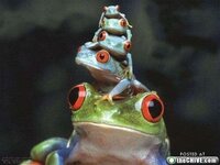 Betrouwbare Teamsport partij