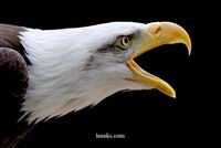 Betrouwbare Theater partij