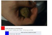 Frisse Koelkasten collectie