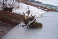 Strakke Dieren en Toebehoren